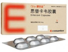恩甘定恩替卡韦胶囊药物过量研究
